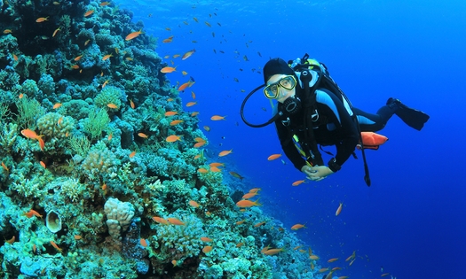 Duikcursus voor beginners of SSI Open Water Diver-duikopleiding
