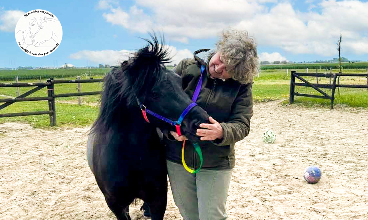 Paardencoaching (60 min)