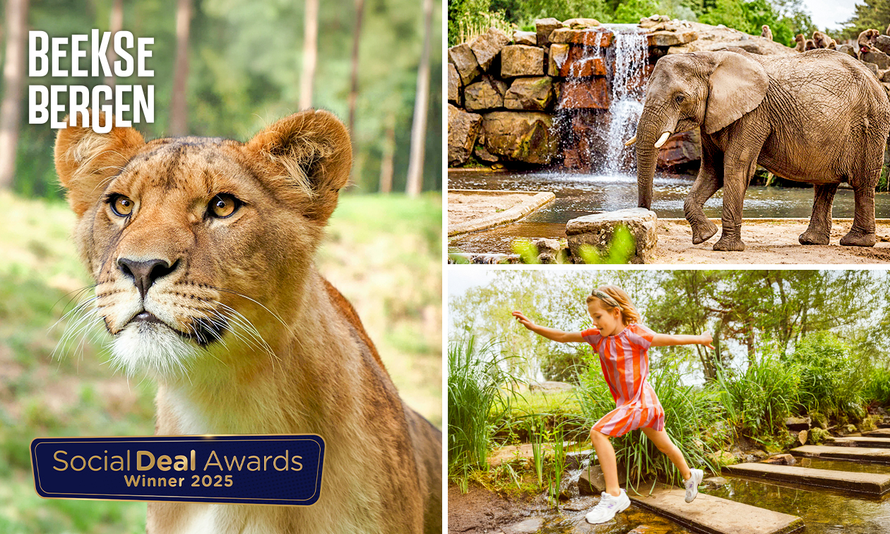 Eintritt Safaripark Beekse Bergen