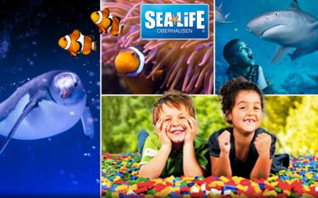 Eintritt für SEA LIFE, Legoland® Discovery Centre & Pinguinhaus