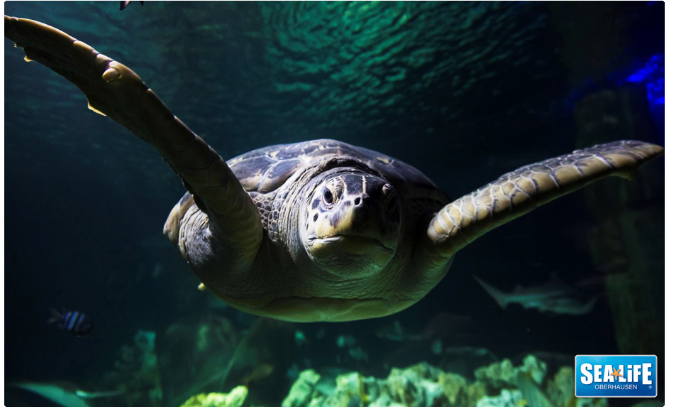 SEA LIFE Oberhausen