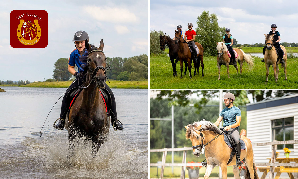 Avontuurlijke bos- of waterrit op een paard (3 à 4 uur)