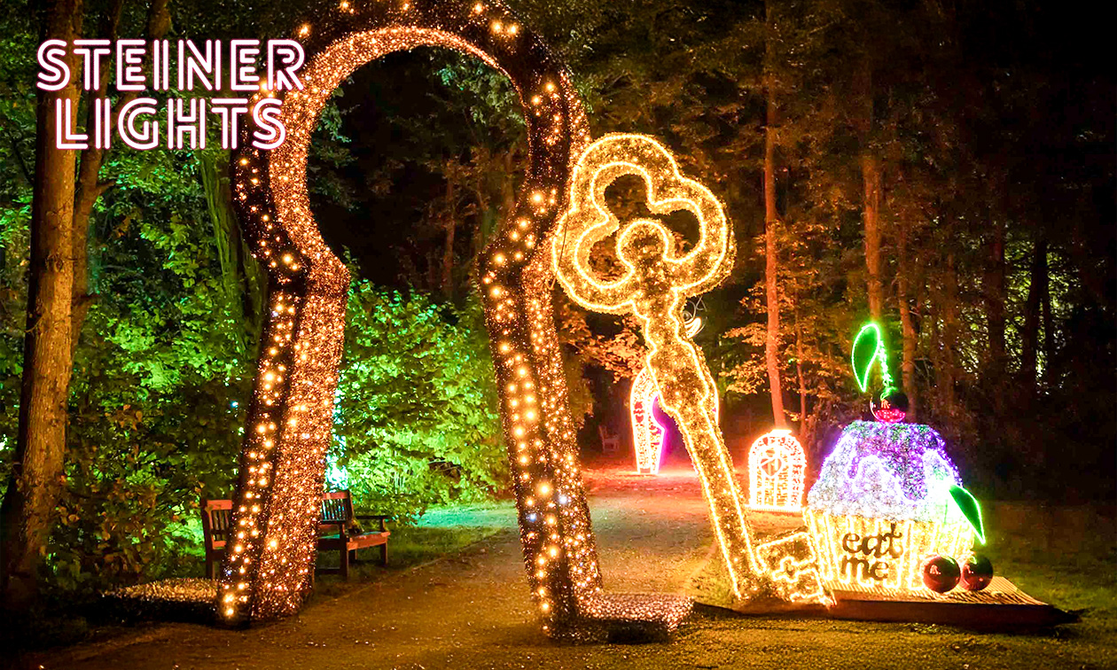 Eintritt Steinerlights von Steinerbos + Kaffee, Tee oder heiße Schokolade