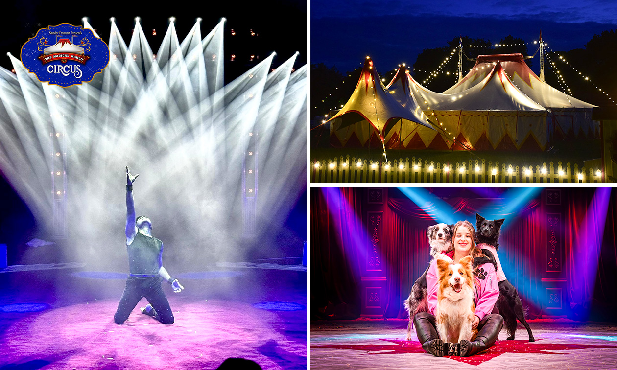 Entree voor The Magical World of Circus