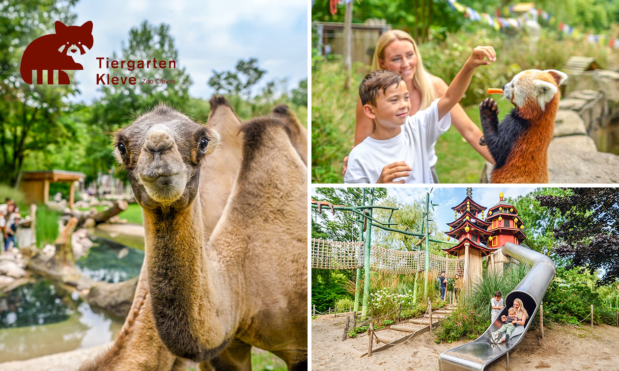 Eintritt in den Tiergarten Kleve
