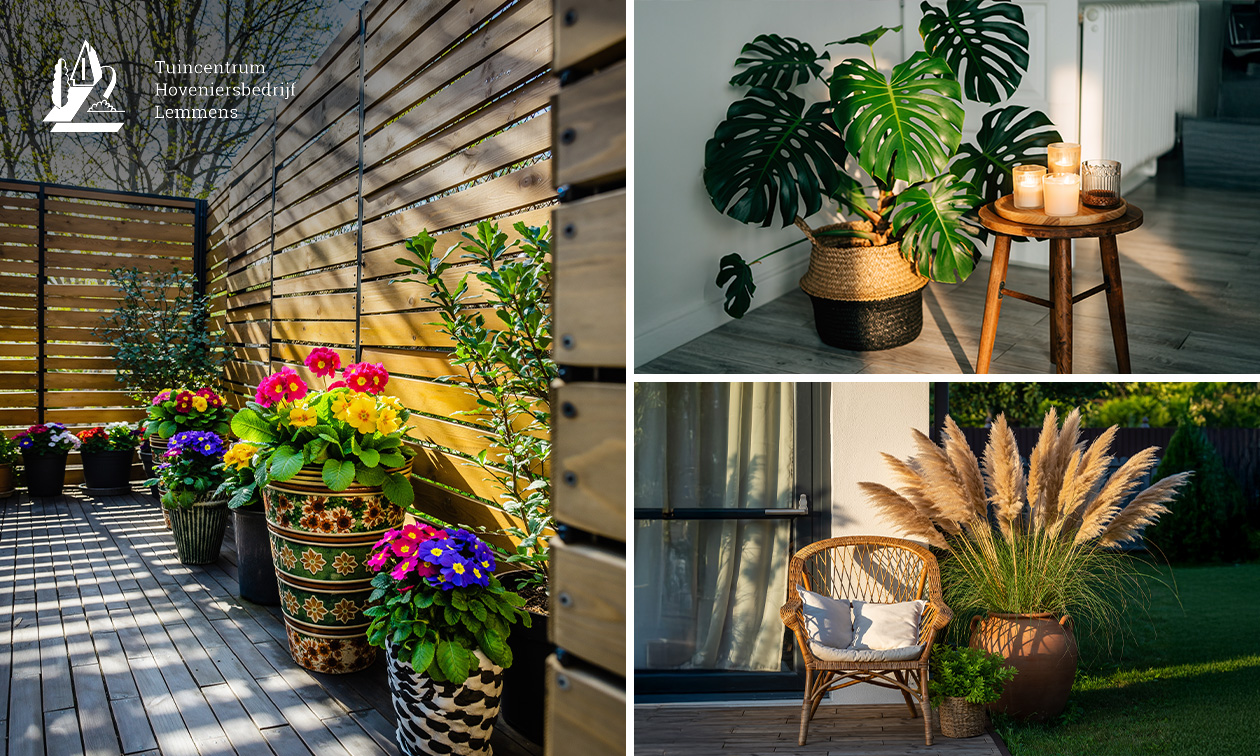 Waardebon van €20 voor bloemen, planten en woonaccessoires