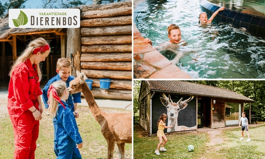 Wochenmitte oder Wochenende (2 bis 6 Pers.) im Ferienpark Dierenbos + Eintritt Zoo
