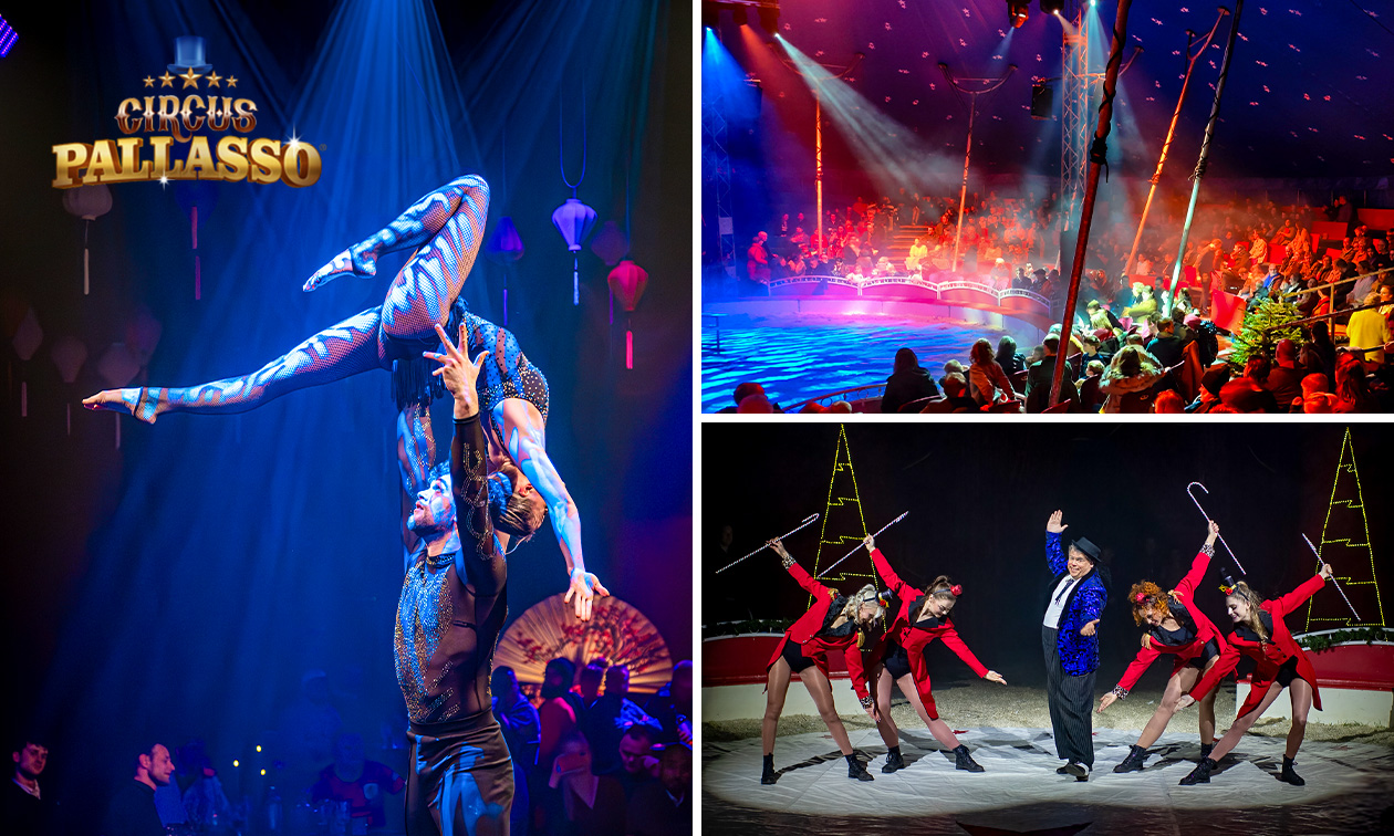 Ticket Winterzirkus Pallasso