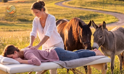 Séance d'auriculothérapie (60 min) ou massage shiatsu (60 min)