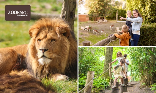 Eintritt ZooParc Overloon
