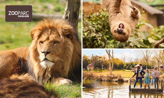 Entree ZooParc Overloon
