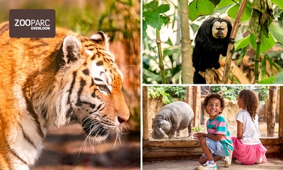 Eintritt ZooParc Overloon